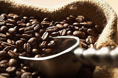 《哈利波特：魁地奇锦标赛》预告片展示三巫学院