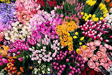 《死神：魂魄觉醒》新角色预告：志波海燕